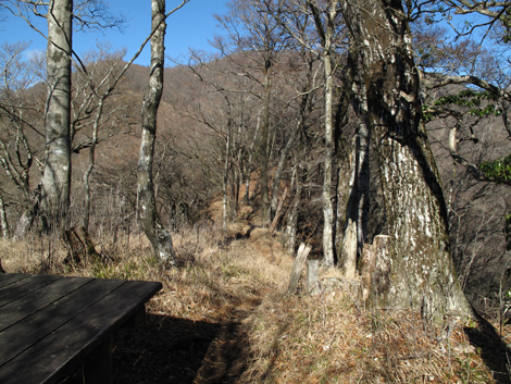 20171207hike (87)